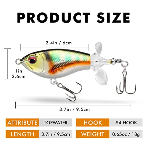 TRUSCEND Floating Fishing Lures with BKK Hooks
