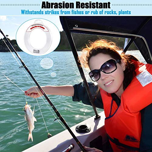 Invisible Clear Fishing Line, 656FT, 43lb Weight Capacity