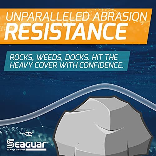 Seaguar Abrazx Fluorocarbon Fishing Line, 200 Yards, 15lb