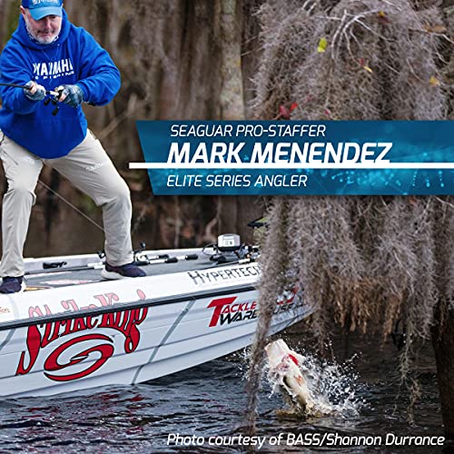 Seaguar Abrazx Fluorocarbon Fishing Line, 200 Yards, 15lb