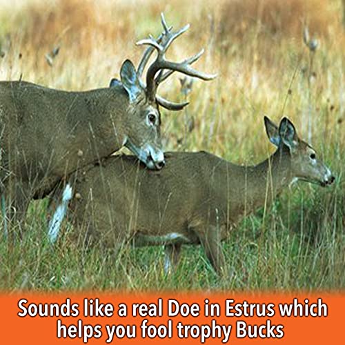 Nationwide Scents Cherry Grunt Call - Buck Calls