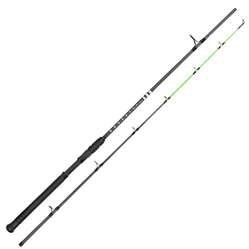 KastKing Kong 2pc 8' Casting Fishing Rod