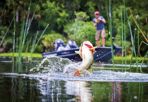 10pc Spinnerbait Fishing Lure Kit + 2 Tackle Boxes