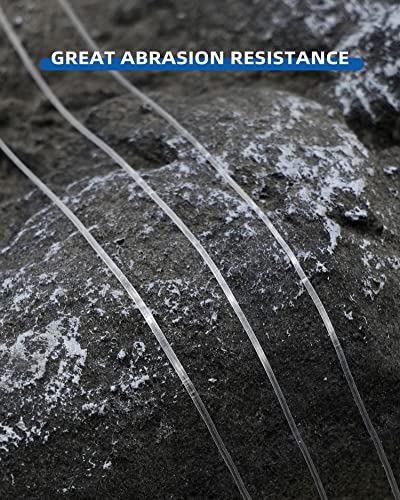 BLUEWING Clear Invisible Monofilament Fishing Line 0.9mm 500YD 100LB