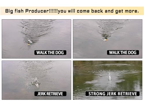 LITTMA Topwater Popper Lures for Bass Fishing