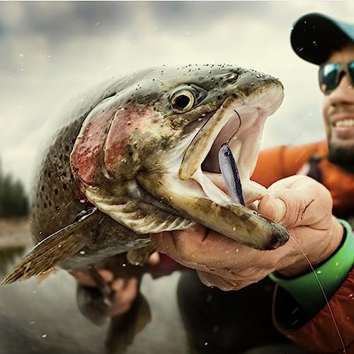 LURESMEOW Paddle Tail Swimbaits Bass Trout Crappie Kit