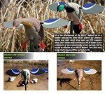 Mojo Outdoors Baby Drake Duck Decoy with Wings