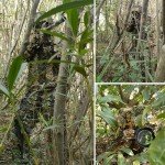 Ghillie 3D Leafy Camouflage Hunting Hat for Fanatics