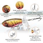 TRUSCEND Floating Fishing Lures with BKK Hooks