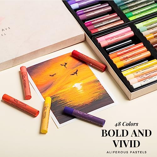 48 Colors Soft Oil Pastel Set for Artists