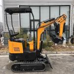 Mini Excavator with Hydraulic Thumb and Briggs & Stratton Engine