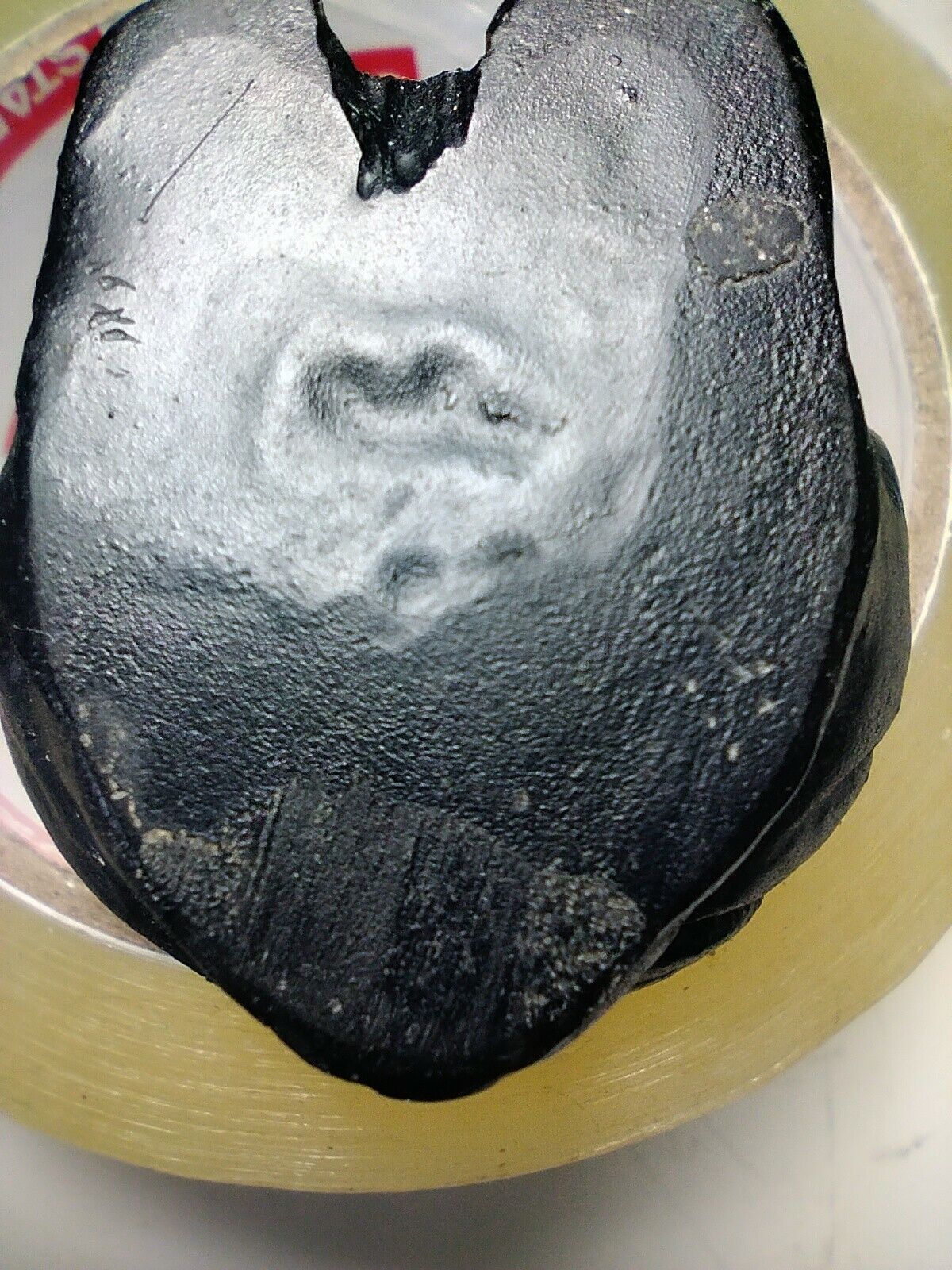 Coal Carved Owl Figurine