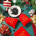 Queekay 6 Pcs Naughty Bag with Plush Coal