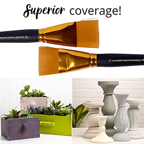 Plaid Flat Brush Set, 2-Piece, Gold Taklon