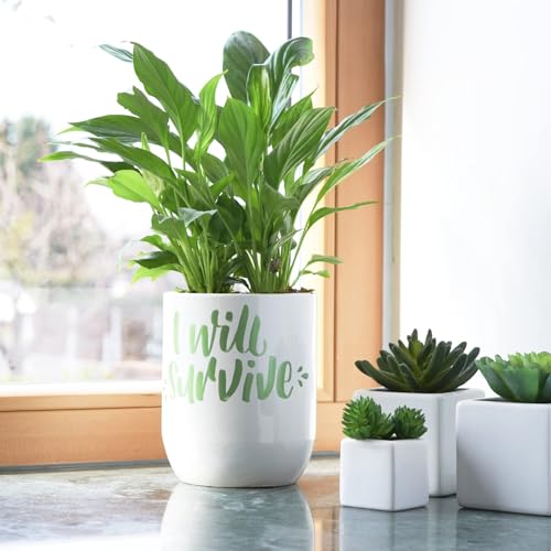 Set of 29 Medium Posca Markers with Reversible Tips