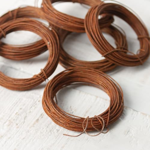 Rusted 20 Gauge Crafting Wire for Floral Arranging, Crafting and Creating | 6 Rolls of 30 Feet for 180 Total Feet