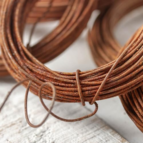 Rusted 20 Gauge Crafting Wire for Floral Arranging, Crafting and Creating | 6 Rolls of 30 Feet for 180 Total Feet