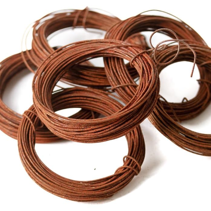 Rusted 20 Gauge Crafting Wire for Floral Arranging, Crafting and Creating | 6 Rolls of 30 Feet for 180 Total Feet