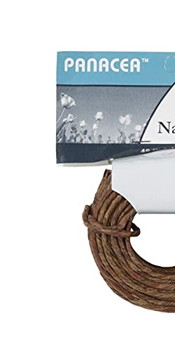 Darice Naturally Wrapped Vine Covered Craft Wire Rope with Rustic Feel for Wedding Crowns Woodland Crowns Head Wreaths Floral Arranging DIY Projects and Decorating 50 feet Brown