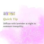 Aura Cacia Rose Otto Essential Oil with Jojoba