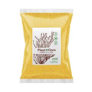 Candelilla Wax Pellets - 100% Pure Vegan Wax