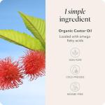 Organic Castor Oil - Hair, Skin, and Eyelashes