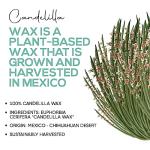 Candelilla Wax Pellets - 100% Pure Vegan Wax
