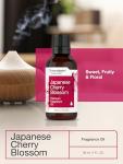 Japanese Cherry Blossom Fragrance Oil - 1 fl oz