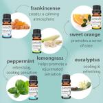 Organic Sweet16 Essential Oils Gift Set