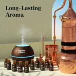 Top 20 Essential Oils Gift Set for Aromatherapy