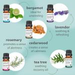 Organic Sweet16 Essential Oils Gift Set