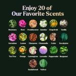 Top 20 Essential Oils Gift Set for Aromatherapy