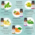 Organic Sweet16 Essential Oils Gift Set