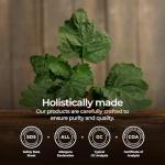 Organic Patchouli Essential Oil - 100% Pure 0.34 Fl Oz