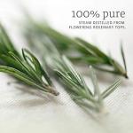 Rosemary Essential Oil - 2 oz
