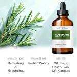 Rosemary Essential Oil - 4 oz | Hair Growth