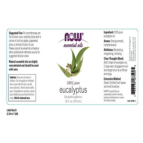 Eucalyptus Essential Oil, 16 Fl Oz 