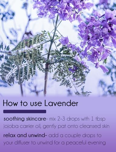 Lavender Essential Oil - 16 oz Bottle - 100% Pure