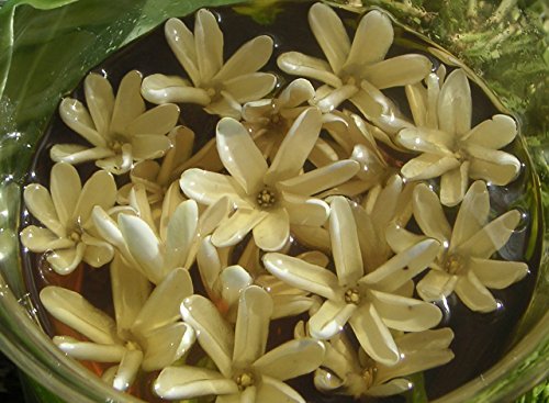 Monoi De Tahiti Oil - Handcrafted in 8oz size