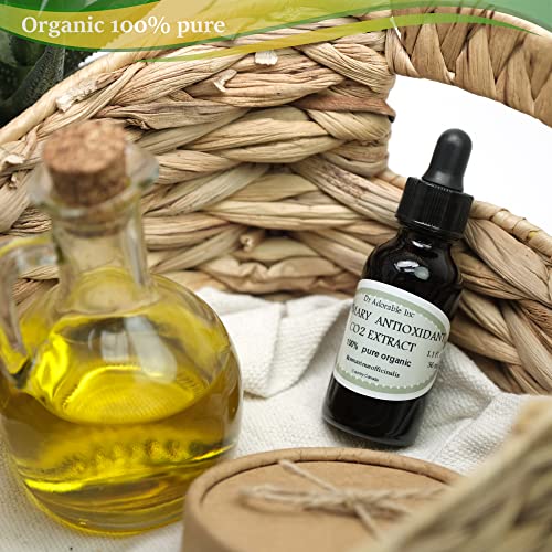Organic Rosemary Antioxidant Co2 Extract 1 oz Glass Bottle