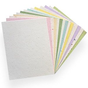 Plantable Seed Paper Sheets - 10 Pack