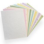 Plantable Seed Paper Sheets - 10 Pack