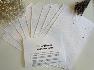Eco-Friendly Plantable Seed Paper Sheets - 10 Pack
