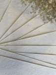 Plantable Seed Paper - Eco-Friendly Craft Cards