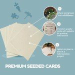 Plantable Seed Paper - Eco-Friendly Craft Cards
