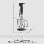 Brushed Stainless Steel Breville Blender