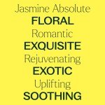 100% pure Jasmine Absolute Essential Oil, Natural Aromatherapy