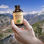 Organic Peppermint Essential Oil 4 oz for DIY