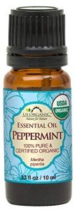 Pure Organic Peppermint Essential Oil - 10 ml