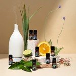 Organic Rosemary Essential Oil for Hair and Skin
